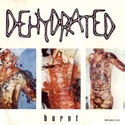 Lunatic Gods : Fuckland - Burnt